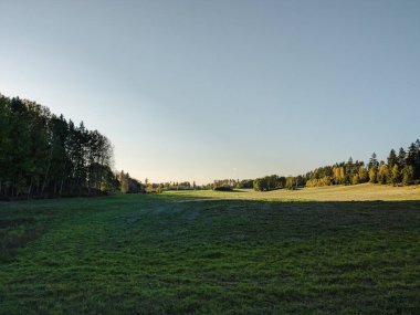 Açık gökyüzüne karşı alanın manzarası