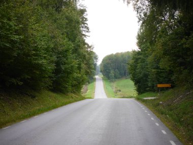 Gökyüzüne karşı ağaçların arasında boş bir yol