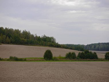 Gökyüzüne Karşı Alanın Manzarası