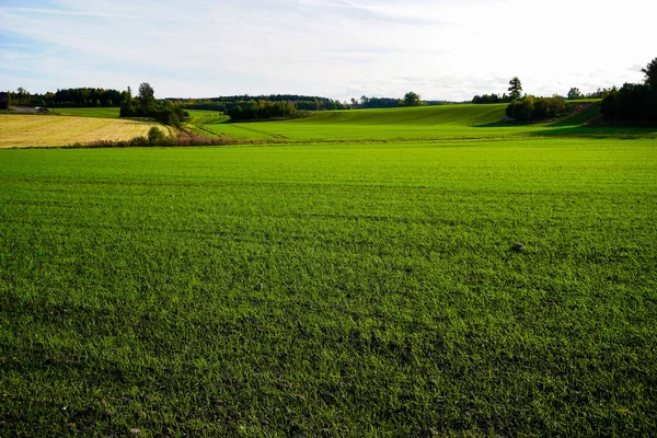 stock image Scenic view of field against sky