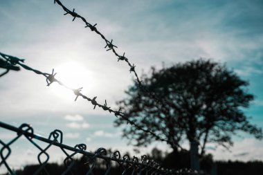 Close up of barded wire against the sky  clipart