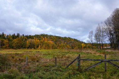 Gökyüzüne Karşı Alanın Manzarası