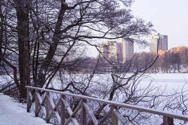 Karla kaplı göldeki ağaçlar gökyüzüne karşı