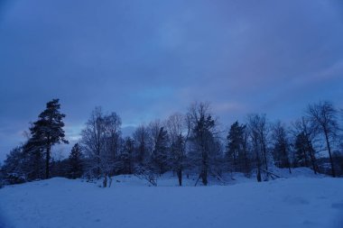 Kışın bir tarlanın manzarası 