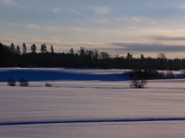 Kışın bir tarlanın manzarası 
