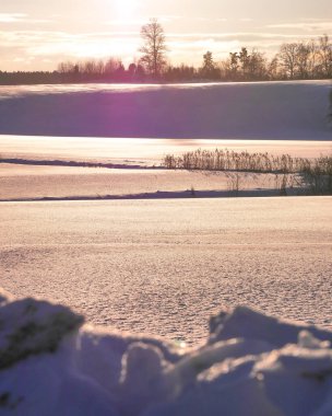 Akşamları karla kaplı tarlanın manzarası 