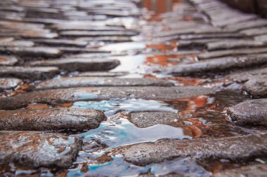 Islak kaldırım taşlarının yakın çekimi.