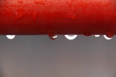 Islak kırmızı bir boruya yakın.
