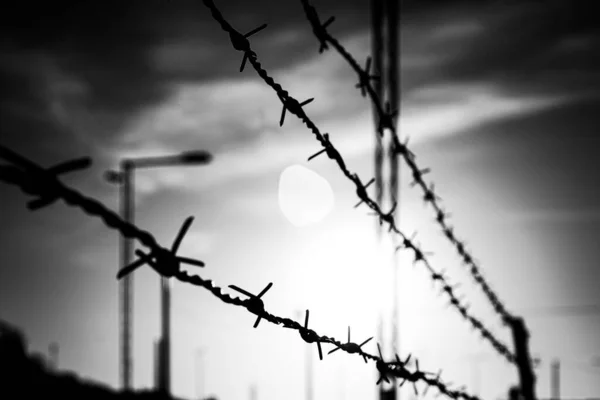 Gökyüzüne karşı dikenli telleri kapatın. 