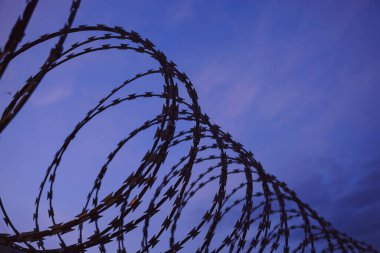 Dikenli telli bir çit