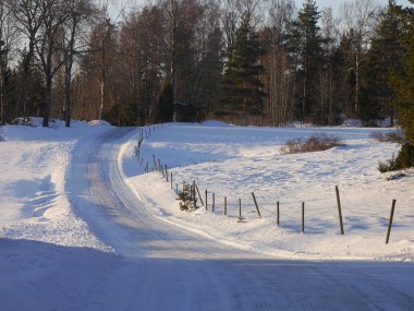 Kış boyunca bir köy yolu manzarası 