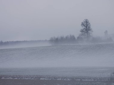 Kış boyunca sislerle kaplı bir tarlanın manzarası 