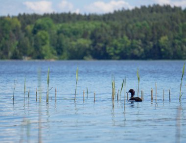 Göle karşı göl manzarası