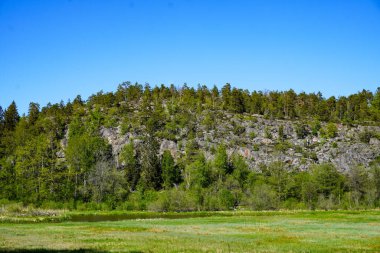 Önünde tarlası olan bir dağ manzarası 