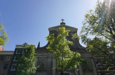 Ağaçların ve binaların alçak açılı görüntüsü 