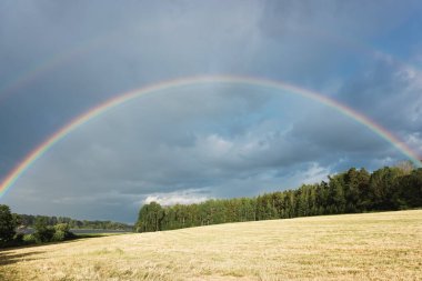 Yaz boyunca tarlanın üzerinde bir gökkuşağı 