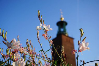 Low angle view flowers in front of a tower  clipart
