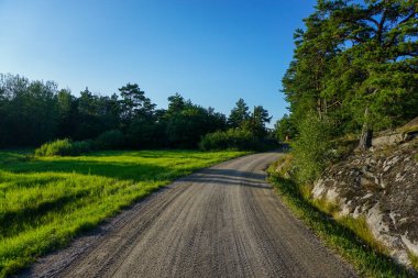 Yol kenarında ağaçlar olan bir patika.