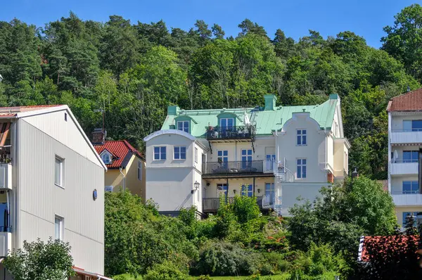 Göl kenarındaki evlerin yüksek açılı manzarası