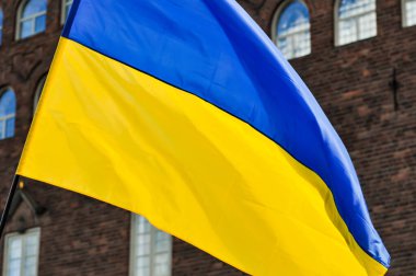 Bir bayrağın yakın çekimi