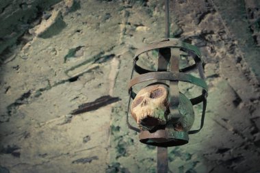 Bir kafatasını kapat 