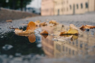Şehirdeki su birikintisine yakın. 