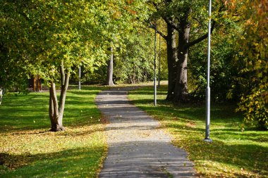 Sonbaharda bir park manzarası 