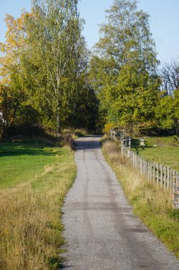 Tarlaları geçen bir köy yolu 