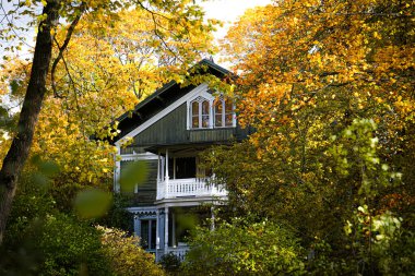 Ağaçların alçak açısı ve bir bina. 