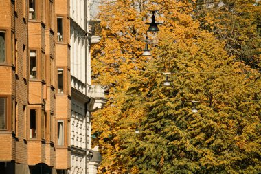 Apartmanın arkasındaki ağaçların görüntüsü