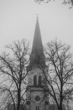 Kilise kulesi ve ağaçların alçak açısı. 
