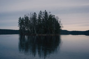 Soğuk bir günde göl manzarası 