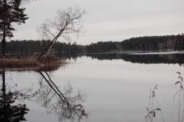 Akşamları göl manzarası 