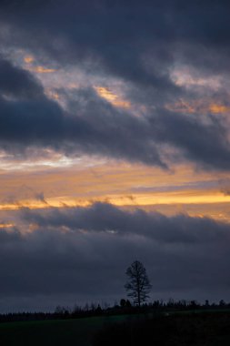 Kış boyunca gün batımının manzarası 