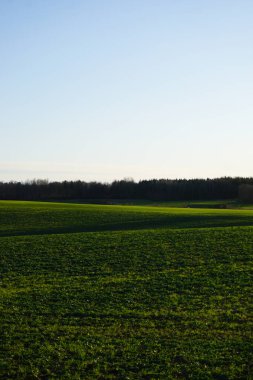 Gökyüzüne karşı bir alanın manzarası 