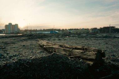 Yerdeki bir ağaç deposu