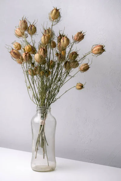 Ramo Flores Secas Aisladas Gris — Foto de Stock
