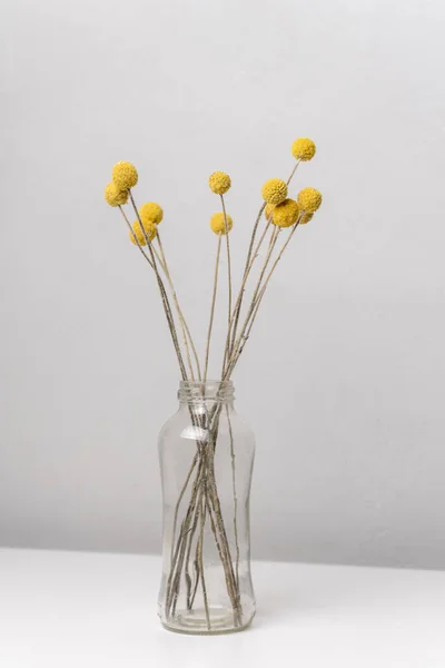 Μπουκέτο Από Αποξηραμένα Κίτρινα Άνθη Γυάλινη Φιάλη — Φωτογραφία Αρχείου