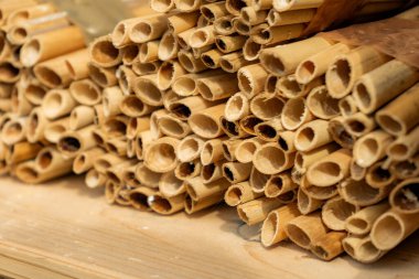 Duvarcı arıların yuva kurduğu bölge, sazlıklar.