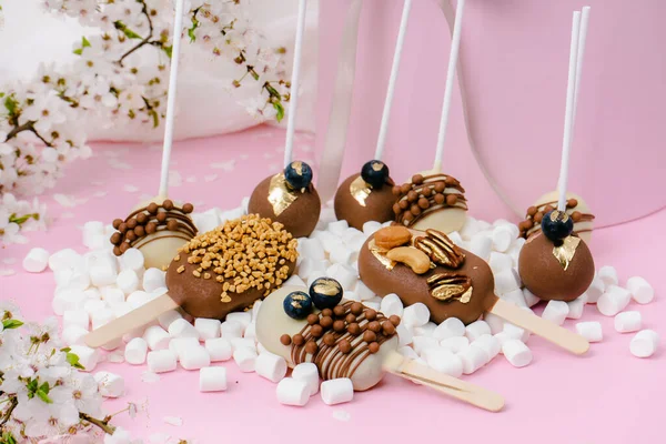 stock image popsicle shaped cake pops and marshmallows on pink background