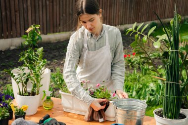 Bahçede çalışıp saksılara çiçek eken beyaz bir kadın.