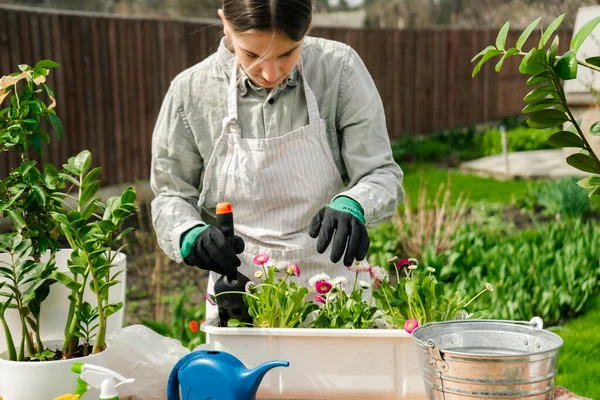 stock image a beautiful caucasian woman planting flowers in pots