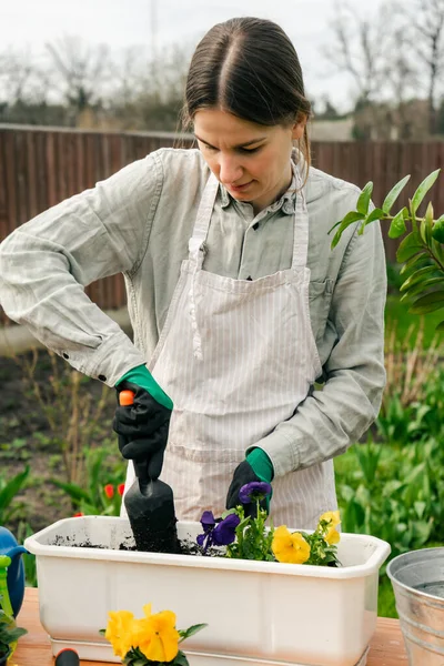 Una Atractiva Mujer Caucásica Que Trabaja Jardín Plantando Las Flores —  Fotos de Stock