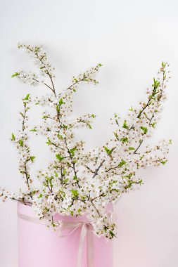 Ağaç dalları Pembe bir hediye kutusunda açan bahar çiçekleri
