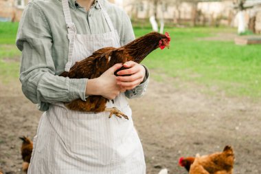 Elinde tavuk tutan bir kadının görüntüsü.