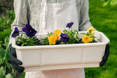 Beyaz bir tencerede çiçekleri tutan bir kadın. 