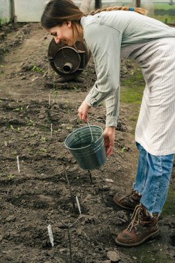 Güzel bir kadın büyük bir serada fideleri suluyor.