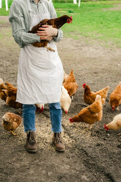 両手に鶏を抱えている女性の — ストック写真