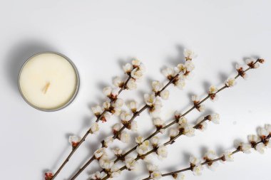 Minimalist mum ve beyaz arkaplanda çiçek açan dallar 