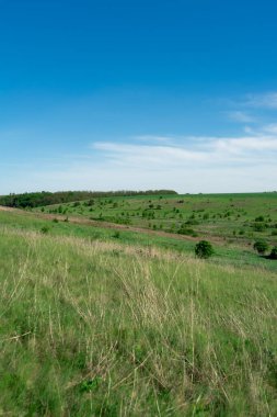 Ukrayna 'daki arazi ve yamaçlar